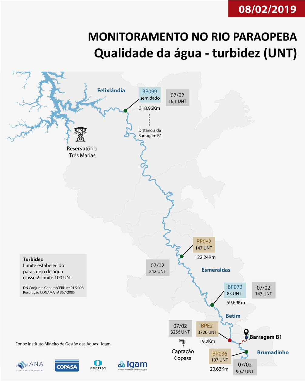 infografico 08 02-01