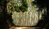 suspensão-processos-ambientais-capa