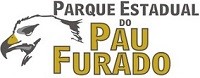 LOGO PAU FURADO