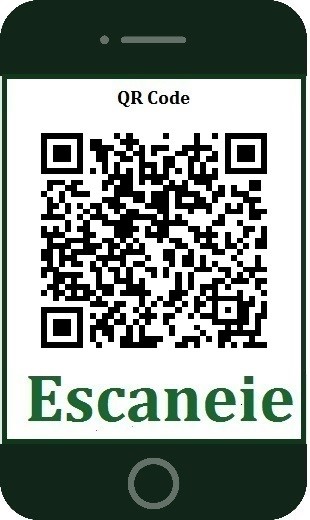 QR CODE LAPA GRANDE