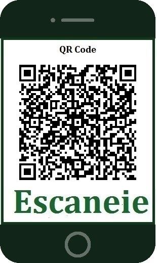 QR CODE BIRBIRI