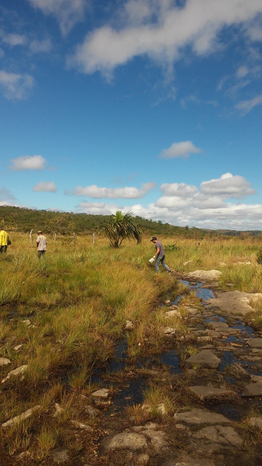 RPPN Cachoeira do Curiango 2 F