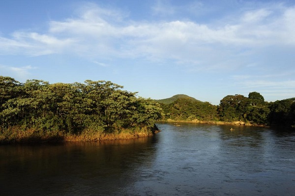 Rio Pará dentro