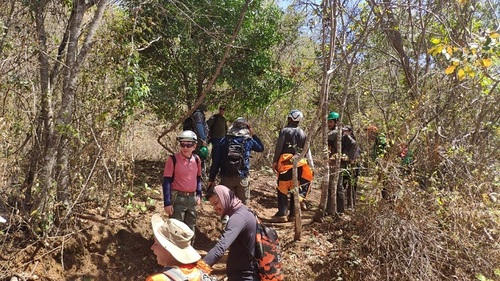 Parte teórica aconteceu de forma presencial, em Montes Claros, e os dias seguintes foram dedicados às atividades práticas, no Parque Estadual da Lapa Grande