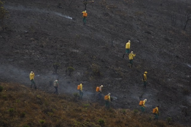 alerta-de-incêndio-IEF-dentro