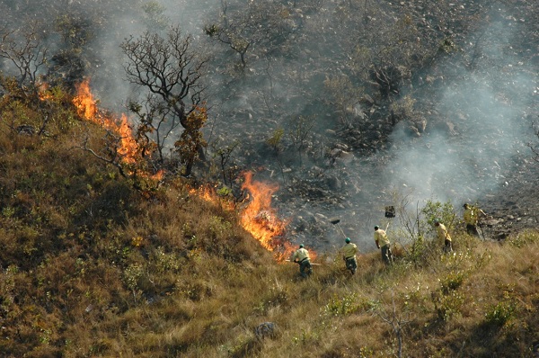 IEF_reforça_combate_a_incêndios_em_Minas_