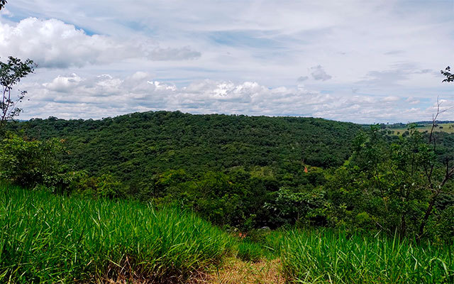 vista-trilha-do-mirante-dentro